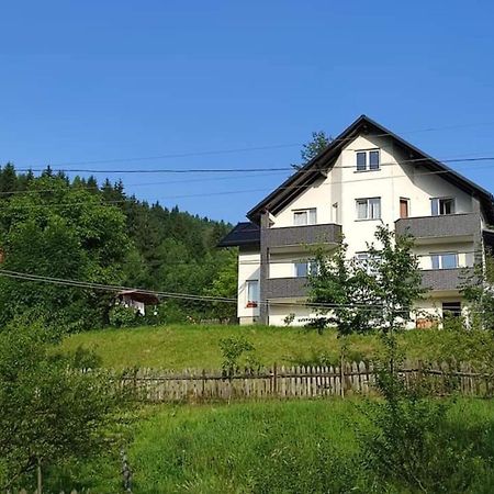 Casa Danci Centru Villa Borsa  Bagian luar foto