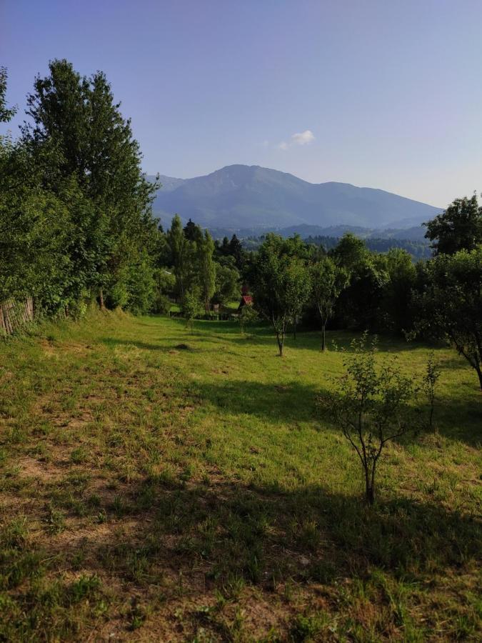 Casa Danci Centru Villa Borsa  Bagian luar foto