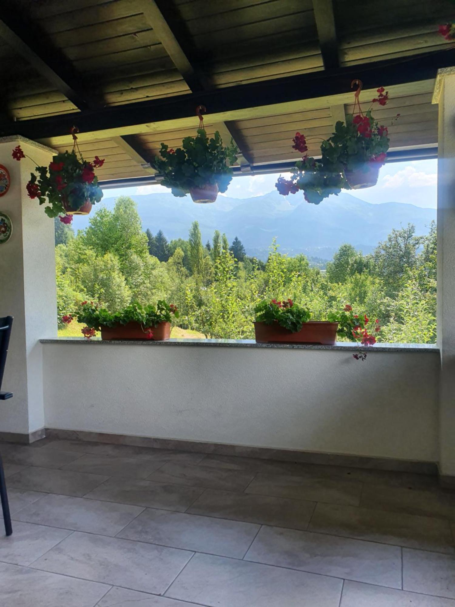 Casa Danci Centru Villa Borsa  Bagian luar foto