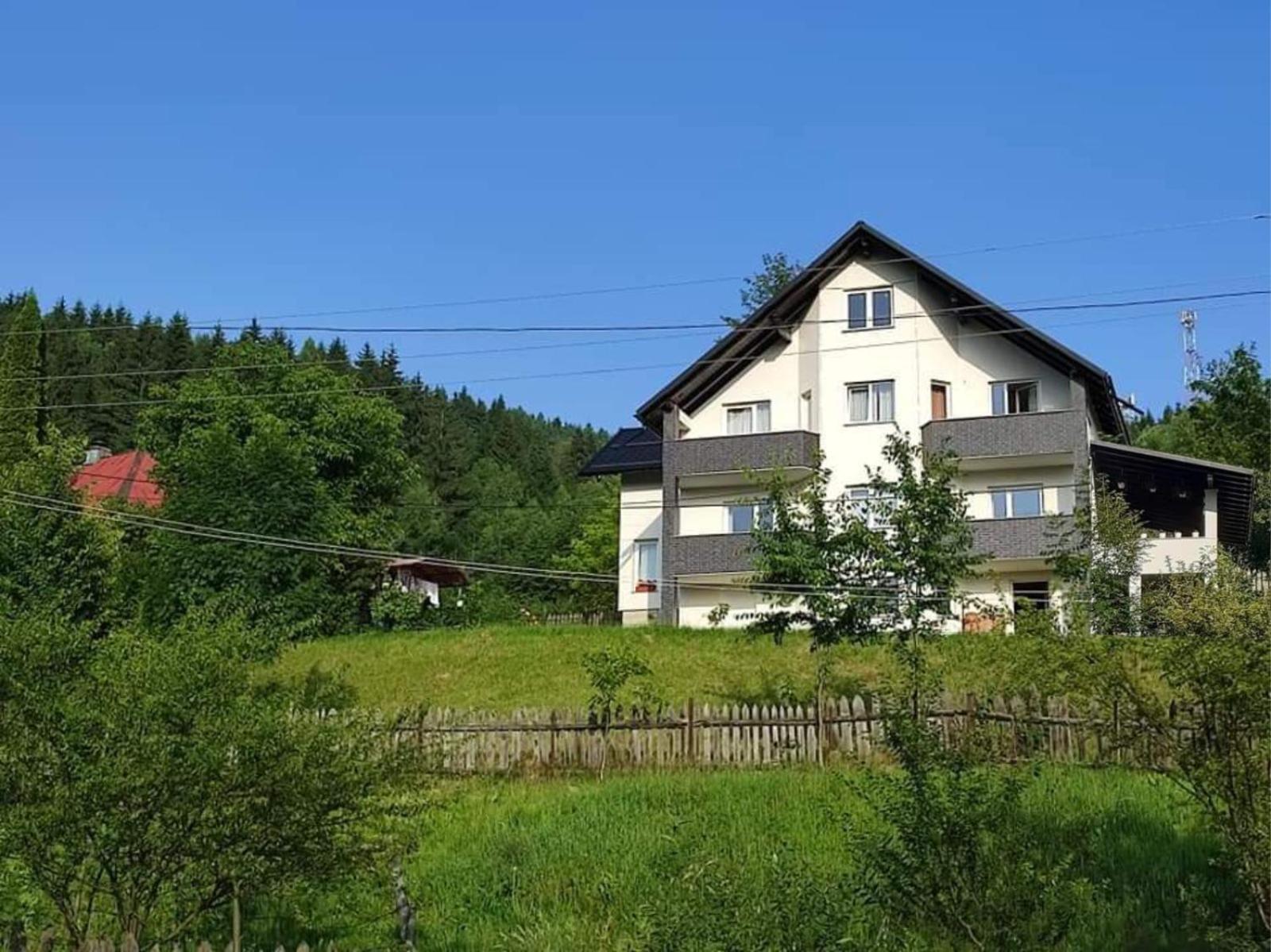 Casa Danci Centru Villa Borsa  Bagian luar foto